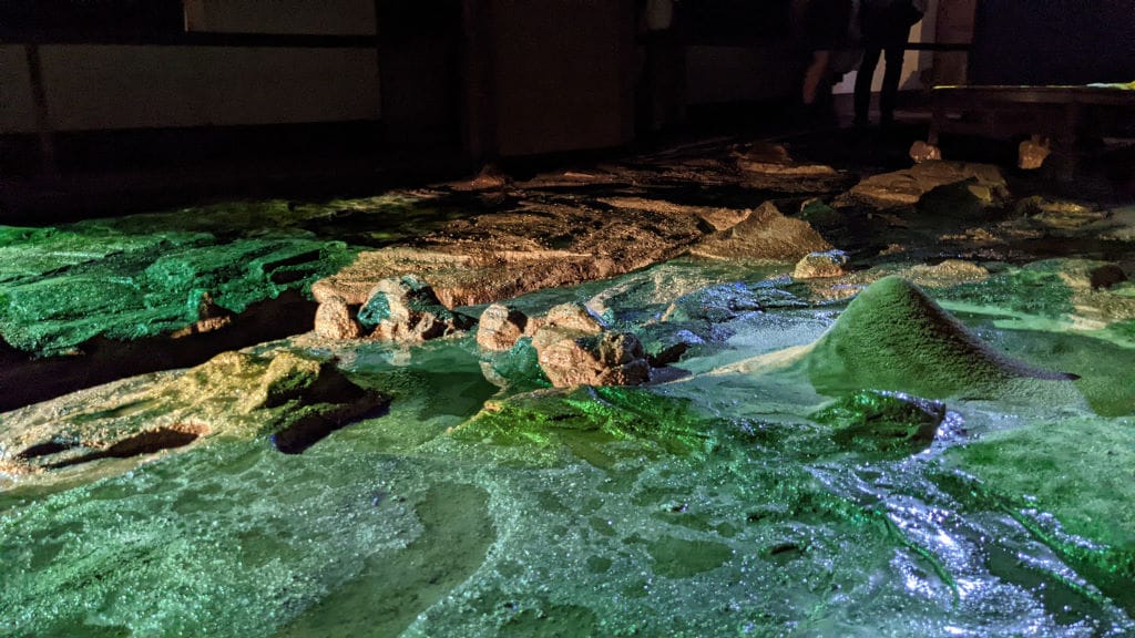 Yoshitaka Nanjo on Shamijima