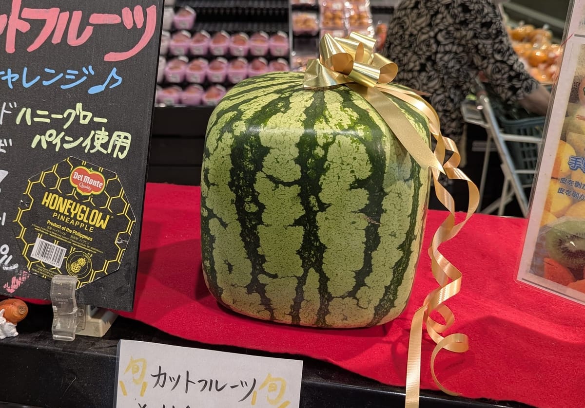 Square Watermelon