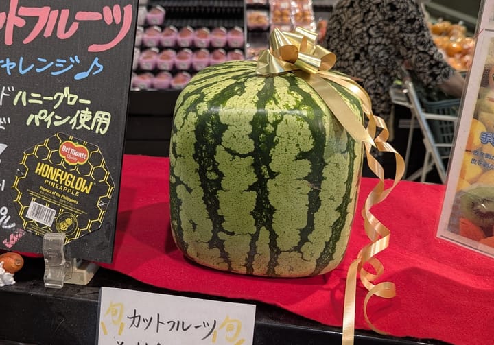 Square Watermelon